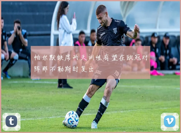 帕尔默缺席两天训练有望在欧冠对阵那不勒斯时复出